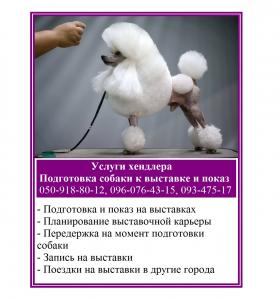 Услуги хендлера  - Украина, Харьков. Цена 180 гривен