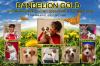 Питомник собак DANDELION GOLD Ставрополь