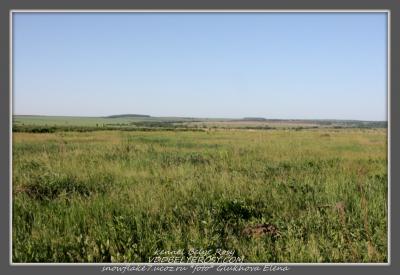 Дрессировка собак  - Россия, Москва. Щенки из питомника 