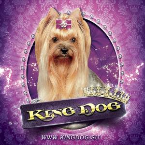 Стрижка собак Зоосалон king dog • Стрижка собак и кошек Воронеж - Россия, Воронеж